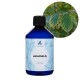 Hamamelis Organic (Witch Hazel)